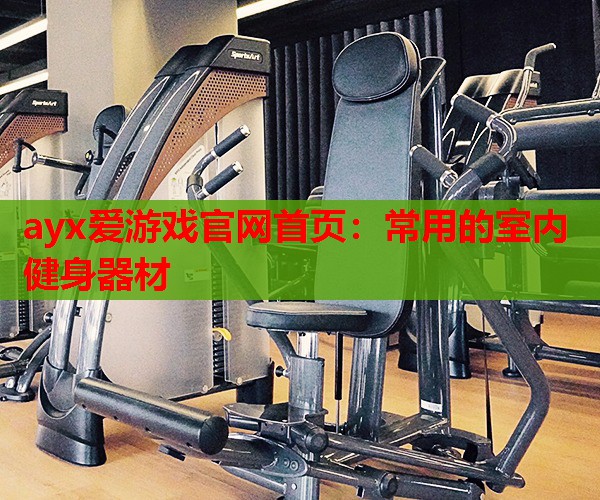 <strong>ayx爱游戏官网首页：常用的室内健身器材</strong>