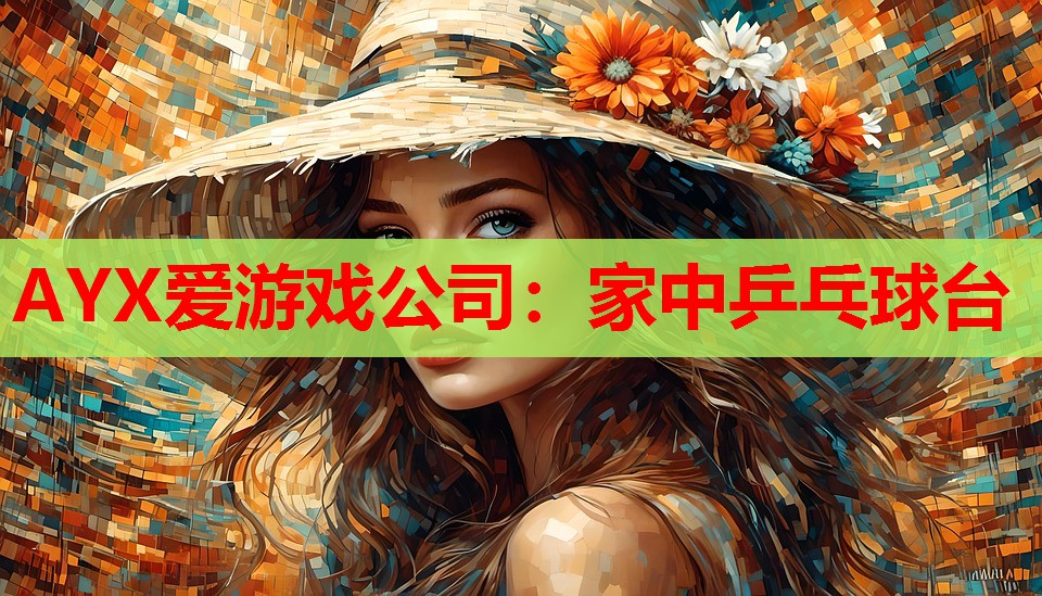 AYX爱游戏公司：家中乒乓球台