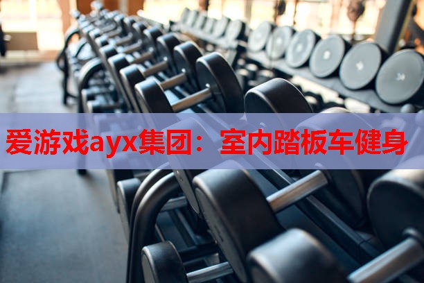 爱游戏ayx集团：室内踏板车健身