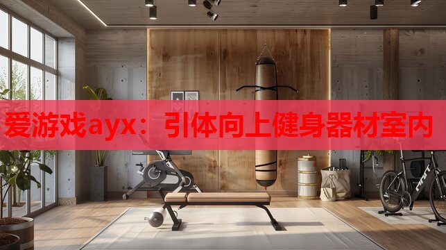 爱游戏ayx：引体向上健身器材室内