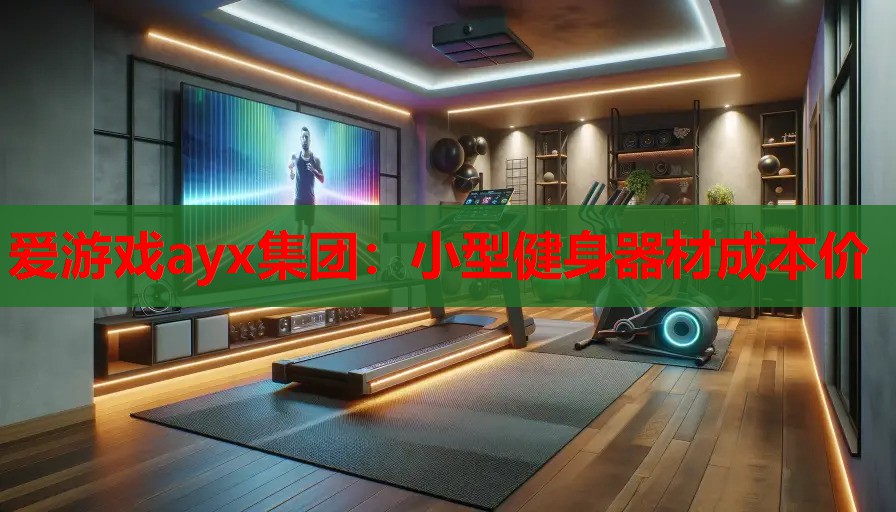 爱游戏ayx集团：小型健身器材成本价