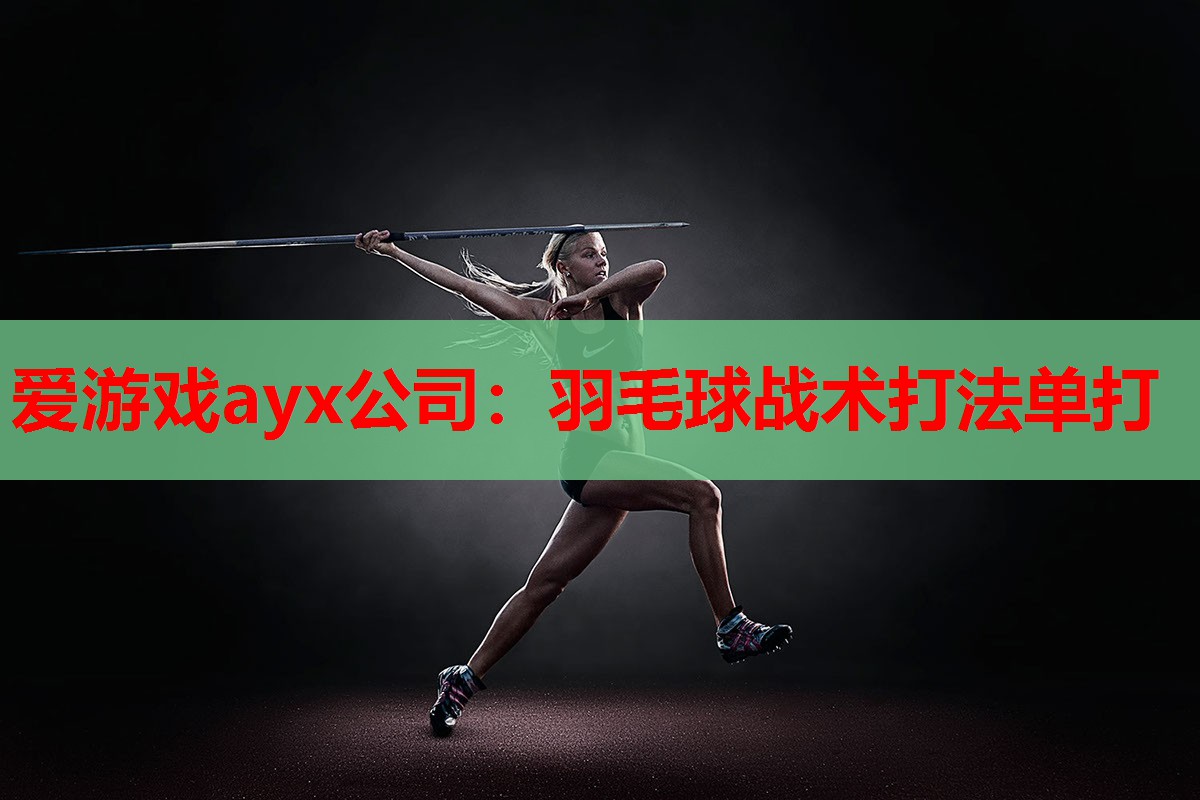 爱游戏ayx公司：羽毛球战术打法单打