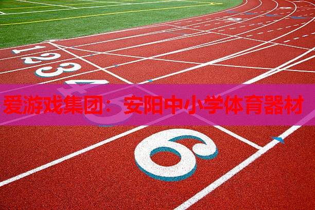 安阳中小学体育器材